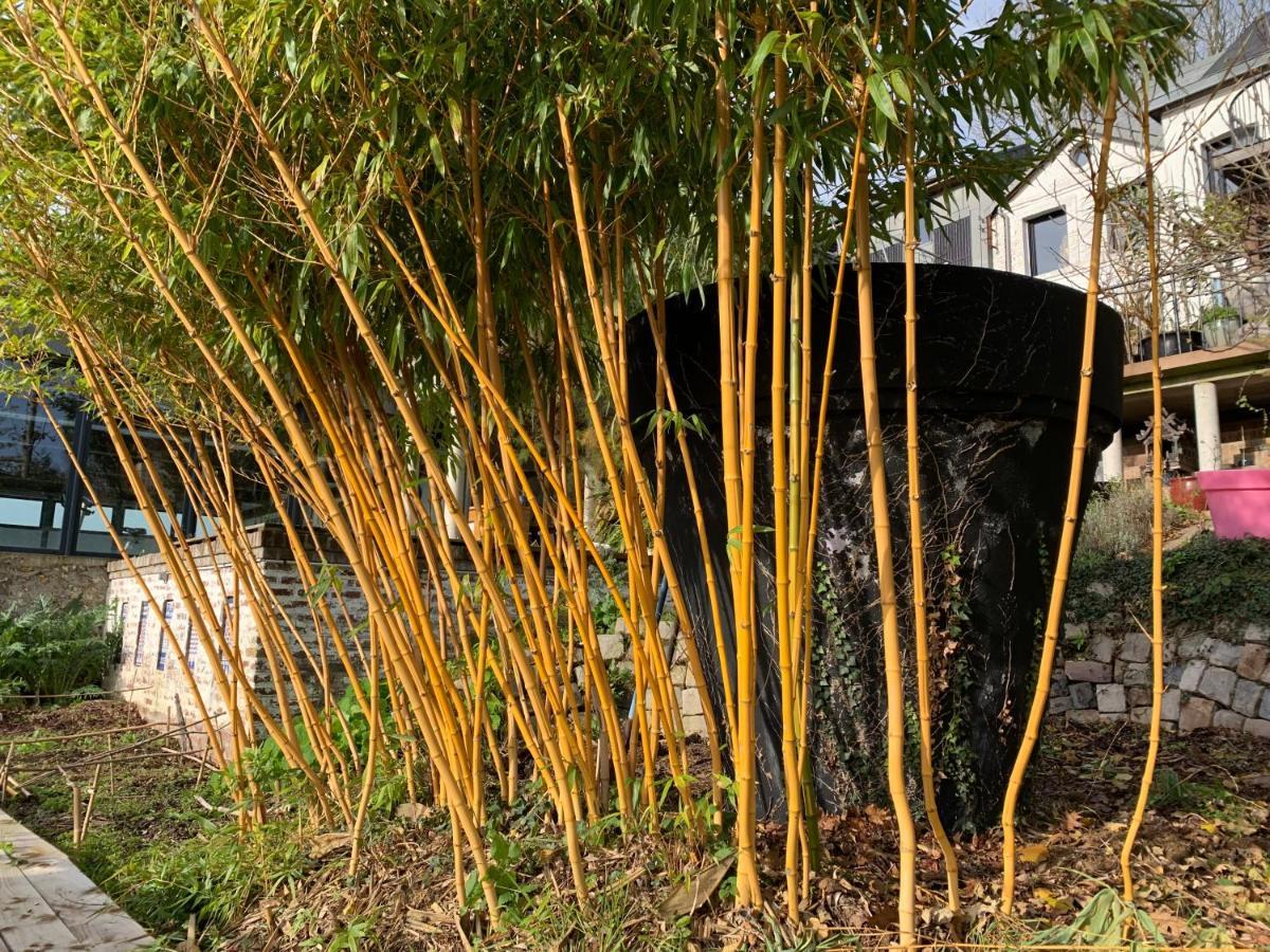 Rouen Eco Lodges Maison Entiere Avec Terrasse Dans Jardin Potager Piscine Parking Exterior foto